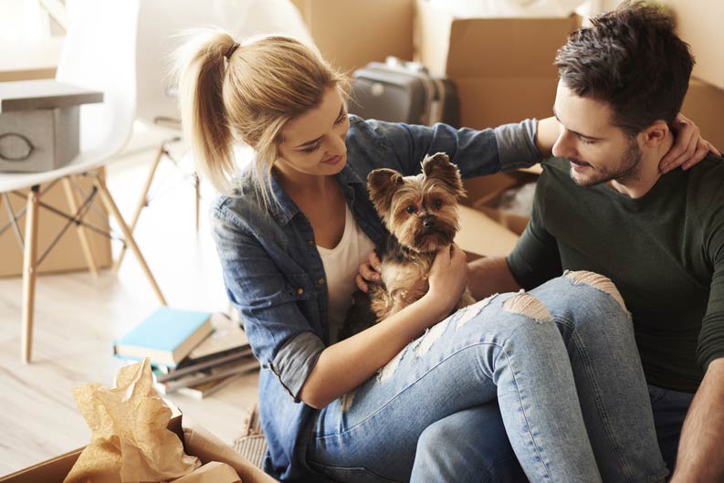 Paar mit Hund hat gemütliches Zu Hause mit Infrarotheizungen