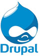 Das Logo von Drupal CMS