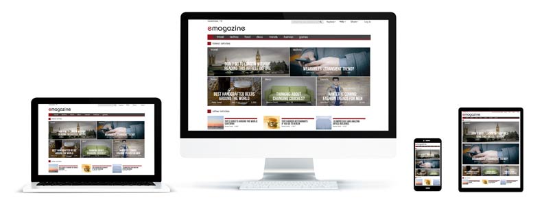 Professionelle Website Eine professionelle Website durch einen Profi erstellen lassen